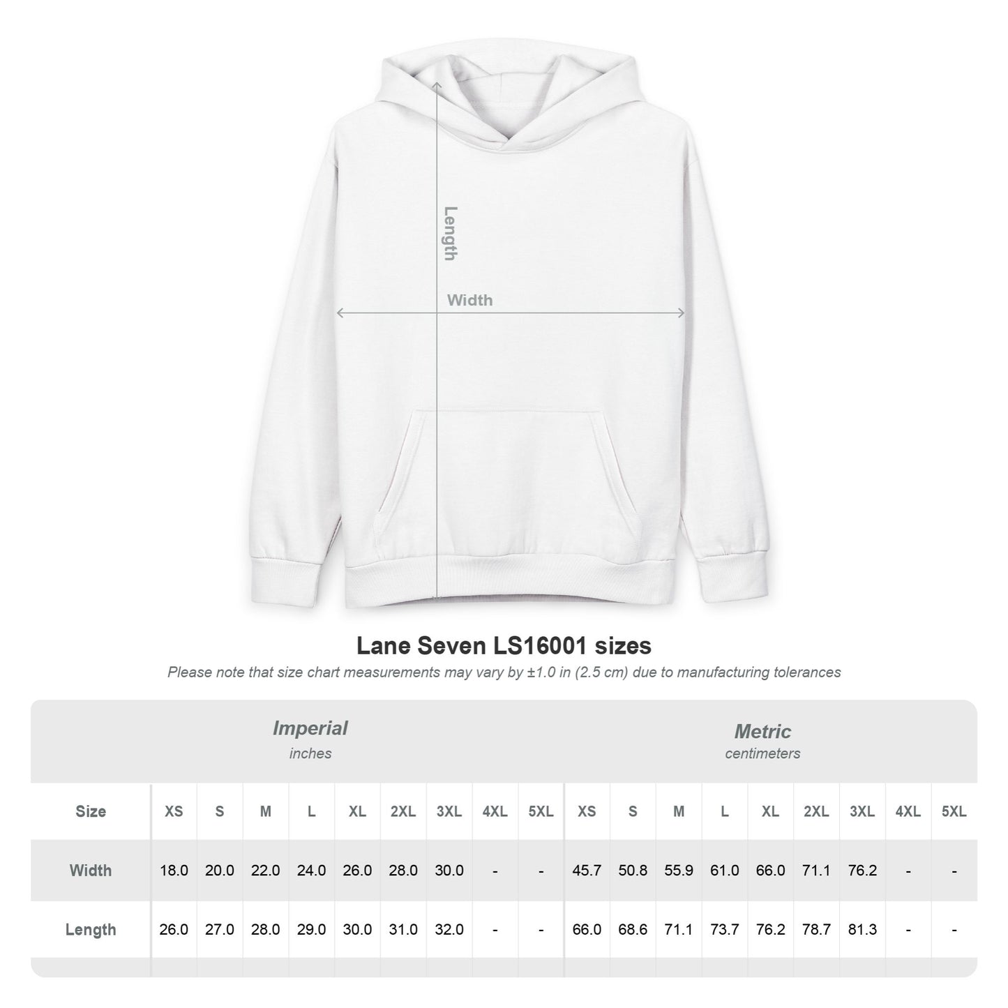 Dark Order Society | See clearly Heavyweight Hoodie